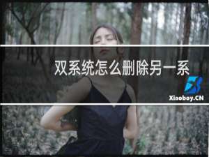 双系统怎么删除另一系统密码（双系统怎么删除一个）