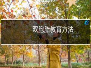 双胞胎教育方法