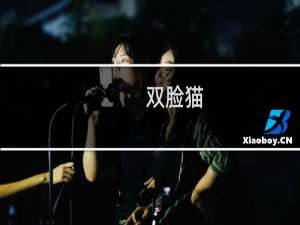 双脸猫