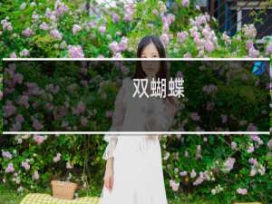 双蝴蝶