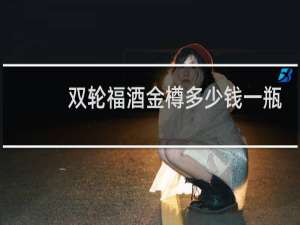 双轮福酒金樽多少钱一瓶