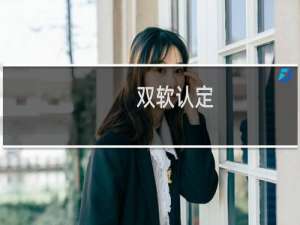 双软认定