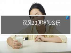 双风 原神怎么玩
