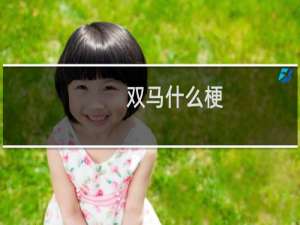 双马什么梗