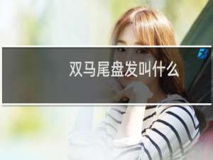 双马尾盘发叫什么