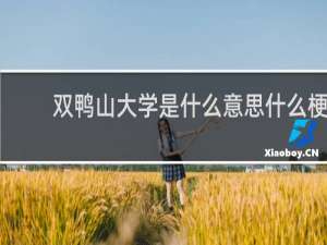 双鸭山大学是什么意思什么梗