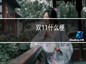 双11什么梗