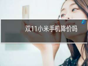 双11小米手机降价吗