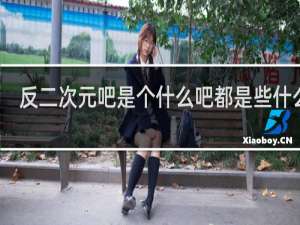 反二次元吧是个什么吧都是些什么人？真的反二次元吗什么梗