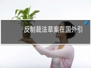 反制裁法草案在国外引起反响（反制宏）