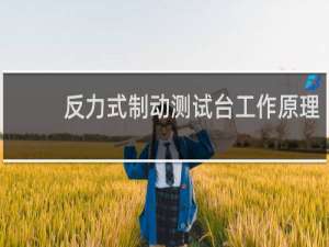 反力式制动测试台工作原理
