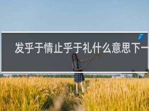 发乎于情止乎于礼什么意思下一句