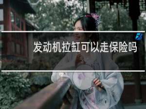 发动机拉缸可以走保险吗