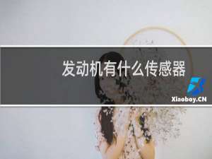 发动机有什么传感器