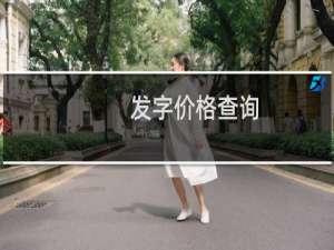 发字价格查询