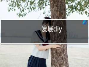 发展diy