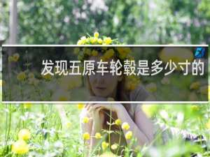 发现五原车轮毂是多少寸的