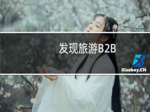 发现旅游B2B