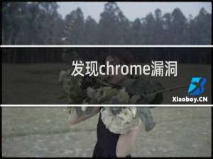 发现chrome漏洞