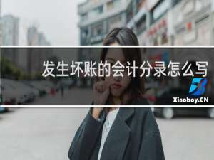 发生坏账的会计分录怎么写