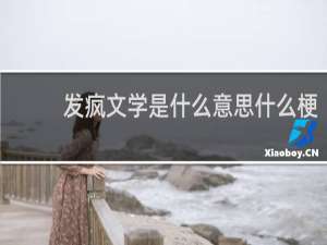 发疯文学是什么意思什么梗