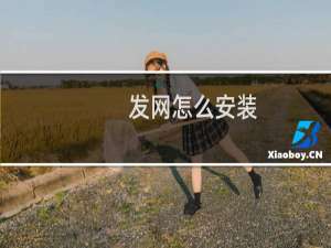 发网怎么安装