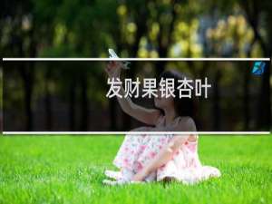 发财果银杏叶