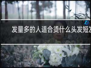 发量多的人适合烫什么头发短发
