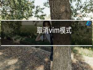 取消vim模式
