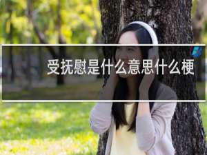 受抚慰是什么意思什么梗