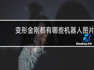 变形金刚都有哪些机器人图片