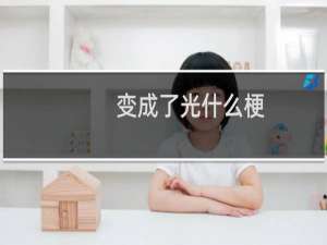 变成了光什么梗