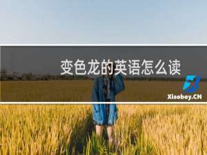 变色龙的英语怎么读