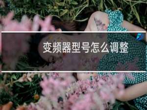 变频器型号怎么调整