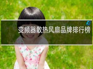 变频器散热风扇品牌排行榜