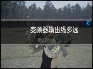 变频器输出线多远