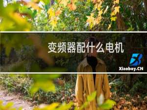 变频器配什么电机