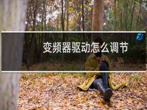 变频器驱动怎么调节