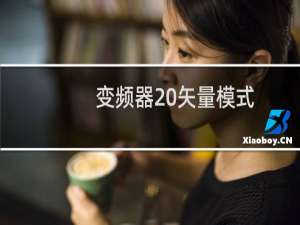 变频器 矢量模式