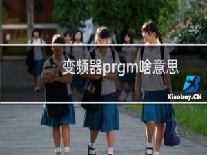 变频器prgm啥意思
