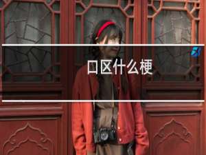 口区什么梗