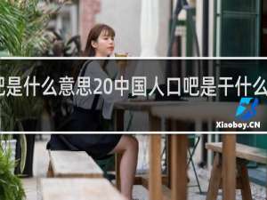 口吧是什么意思 中国人口吧是干什么的什么梗