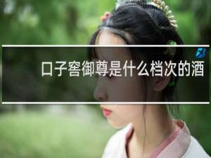 口子窖御尊是什么档次的酒