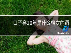 口子窖20年是什么档次的酒