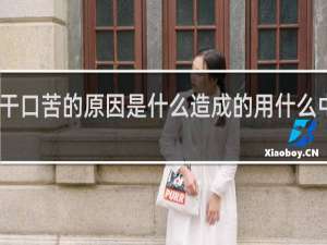 口干口苦的原因是什么造成的用什么中药调理