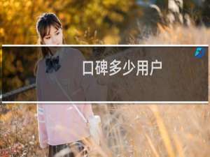 口碑多少用户