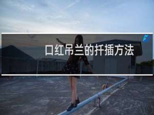 口红吊兰的扦插方法