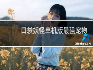 口袋妖怪单机版最强宠物