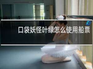口袋妖怪叶绿怎么使用船票