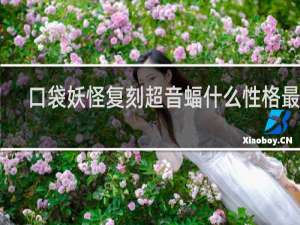 口袋妖怪复刻超音蝠什么性格最好